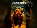 Download Lagu Stay Hungry - Lion Roar # #motivation #hindimotivation #quotes #inspiration #thoughts #goldenwords