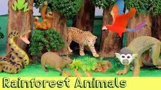 Meet The Amazon Jungle Animals DIY Diorama  Meet The Amazon Jungle Animals DIY Diorama