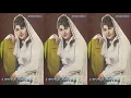 Erzincana Girdim Ne Güzel Bağlar - Leyla Ertaş