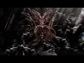 Seraph anomaly