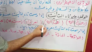 تعريف الوقف وأنواعه والوقف على تاء التأنيث الدرس ٦٤ من دروس التجويد الميسر للمبتدئين 