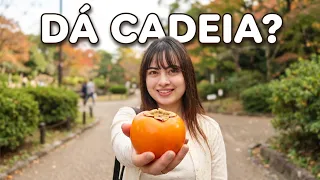 FURTOS, OUTONO E A REFLEXÃO QUE PODE MUDAR SUA VIDA