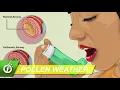 Seasonal Allergy Forecast Intro To Allergy Induced Asthma - August 10 2020