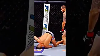 He S Dead Ufc Dead Shorts 