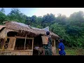 Download Lagu Father Tu Chi harvests fruit sold in the market and wishes to complete a new house soon
