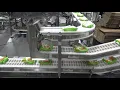 Download Lagu 55473 BluePrint Automation (BPA) Gantry 300 Swing Case Packer