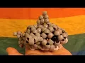 Kandi shark tutorial