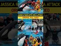 Download Lagu Jessica Radcliffe Orca Attack🤯| Jessica Dolphin Accident| Jessica De*th By Dolphin live| #jessica