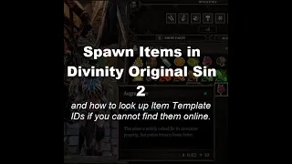 How to Spawn Items in Divinity Original Sin 2 and how to look up item IDs