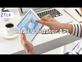 Email Validator API