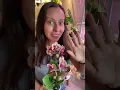 Download Lagu Orchid care can feel scary… I can help  #orchid #orchidcare #planttips #plantpeople