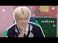 Download Lagu Seventeen's ✨adorable maknae✨