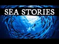 Download Lagu 6 True Scary Sea \u0026 Sailing Stories