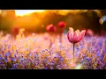 ทำไมต้องเธอ - เบิร์ด ธงไชย