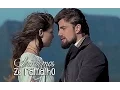 Download Lagu Zé Ramalho Sinônimos Trilha Sonora Além do Tempo (Legendado) Tema de Lívia e Felipe HD.