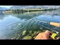 Late June Shad Fishing On the Washington Side Bonneville Dam - Not as Good as Oregon
