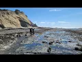 Duxbury Reef Tidepooling Bolinas Calif Hike Dining Afterwards