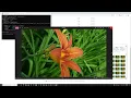 How to Convert Your MP4 s into JPG Images Safely and Free 2025