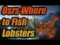 Osrs Where to Fish Lobsters