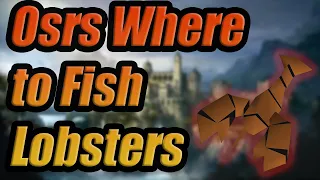 Osrs Where to Fish Lobsters