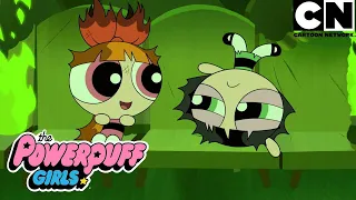 Quando a família coloca tudo à prova | As Meninas Superpoderosas | Cartoon Network 🇧🇷