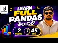 Full Pandas Course Telugu