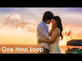 Download Lagu 【One Hour Loop】The Forbidden Flower《夏花》 | \