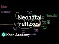 Download Lagu Neonatal reflexes | Behavior | MCAT | Khan Academy