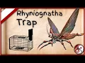 Best Rhyniognatha Traps Trapping The Sky Giga Ark