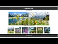 Using JAvaScript to Display Images