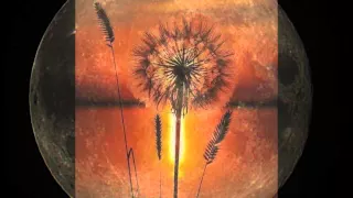 نزار قباني أسألك الرحيل دندنها