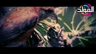 احمد سعد سبح لله ابن ام الدنيا ا Ebn Om Aldonyae ابو شــــهد 