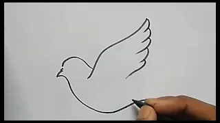 أسهل طريقة للرسم حمامة السلام 