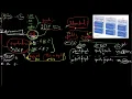Download Lagu Chapter Four- Hypothesis Testing- Intro