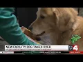 St Charles County Courthouse welcomes new facility dog as beloved Sully retires