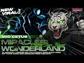 Download Lagu DJ MIRACLES X WONDERLAND TJAP TASSO‼️STYLE CETAS CETUS TERBARU‼️BASS BLIYUT VIRAL