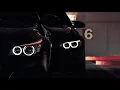 BLR - Méduse