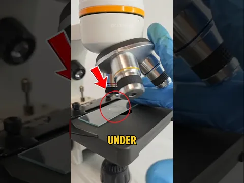 Dog Saliva Under a Microscope😱🤔