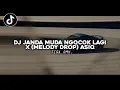 Download Lagu DJ JANDA MUDA NGOCOK LAGI X (MELODY DROP) ASIQ [TIRA RMX]