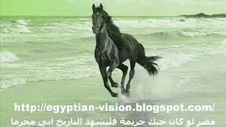 اشهد يا حبيبى   محمد رشدى دندنها