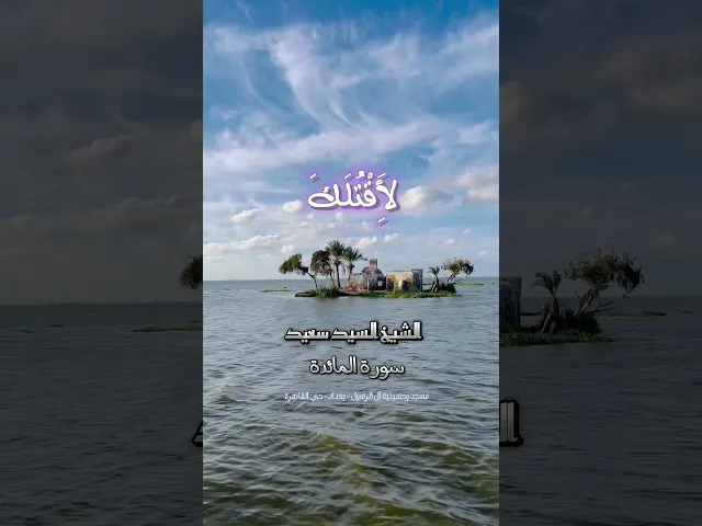 ⁣دقيقة قرآنية | الشيخ السيد سعيد | سورة المائدة | مسجد وحسينية آل الرسول | بغداد حي القاهرة ٢٠٢٤