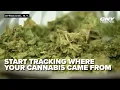 New York State cannabis regulations introduce seed-to-sale tracking system