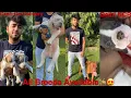 Exotic Pet Market DELHI NCR PET KENNEL IN INDIA