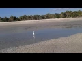 Barefoot beach extreame low tide
