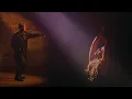 Download Lagu HALIENE \u0026 Elephante - Hollow (Official Music Video)