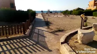 ماشي وفي حالي عمرو دياب 