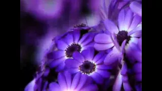 معلمــتي مريم العـــــسكر Peter Linda 