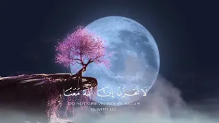 تلاوه من سورة مريم بصوت القارئ احمد عبد الحي 