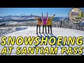 Snowshoeing At Santiam Sno-Park Oregon Epic Views Of The Cascades in January
