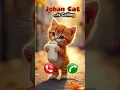 iPhone 16pro Max Ringtone #cat #catlovers #ringtone #ringintone